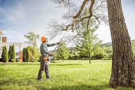 Trusted East Atlantic Beach, NY Tree Services Experts